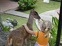 cartagena colombia-2004 037