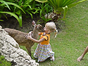 cartagena colombia-2004 040