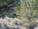 Colorado photos 2005 025