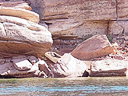 Lake powell-2004 100