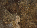carlsbad caverns cave 016