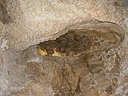 carlsbad caverns cave 020