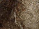 carlsbad caverns cave 052