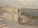 carlsbad caverns cave 109