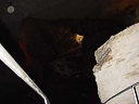 carlsbad caverns cave 110