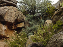 carlsbad caverns cave 071