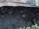 carlsbad caverns cave 097