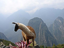 Machu Picchu Peru Inka (22)