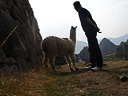 Machu Picchu Peru Inka (71)