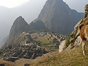 Machu Picchu Peru Inka (91)