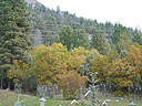 railroad Durango silverton 1 004