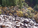 railroad Durango silverton 1 033