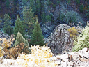 railroad Durango silverton 2 010