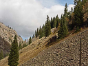 railroad Durango silverton 3 077